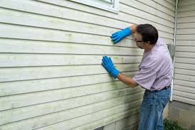 Best Siding Removal and Disposal  in Cutler Bay, FL